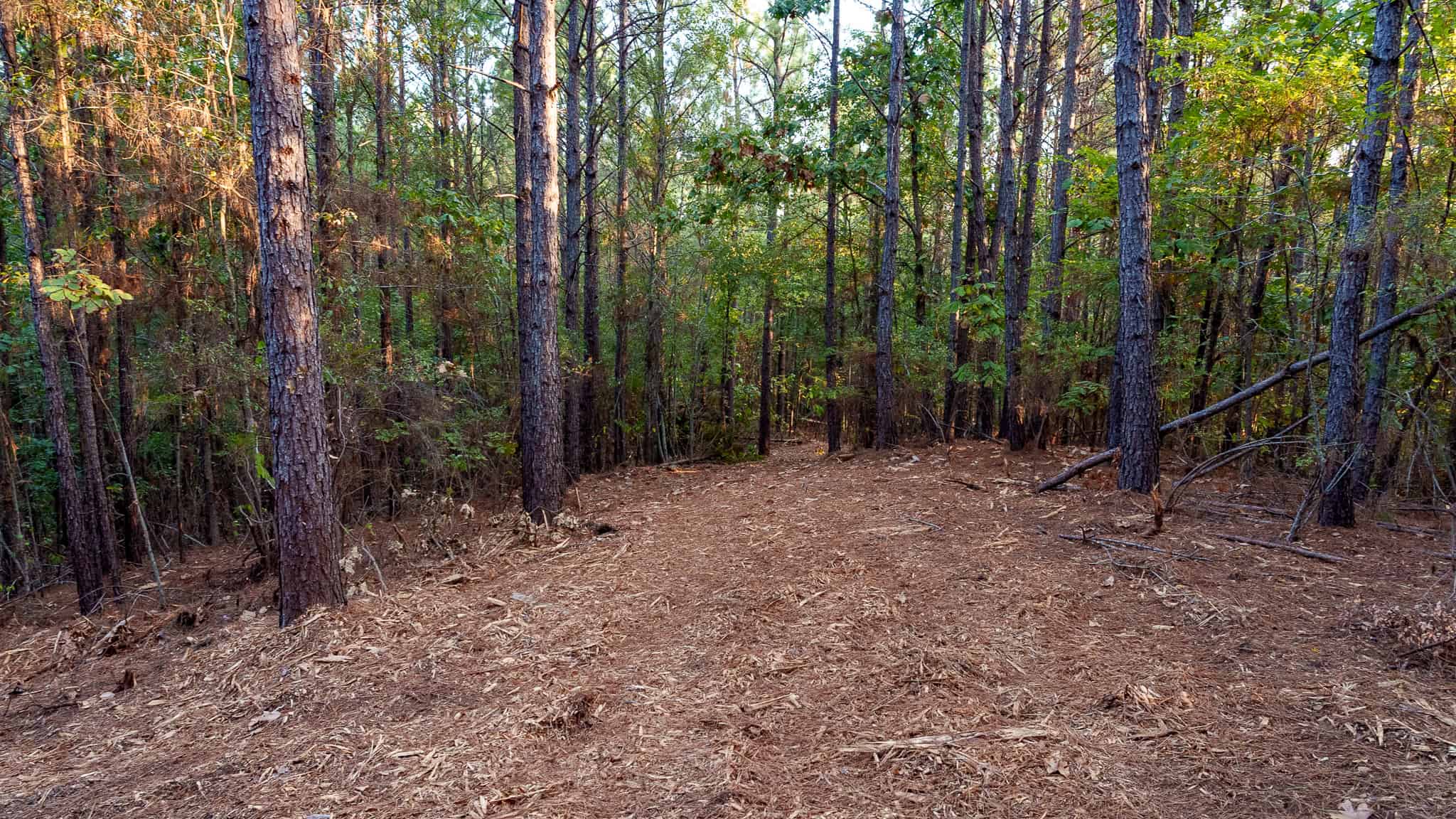 Tyler Texas Hunting Property for Sale 141 ± Acres East of Dallas