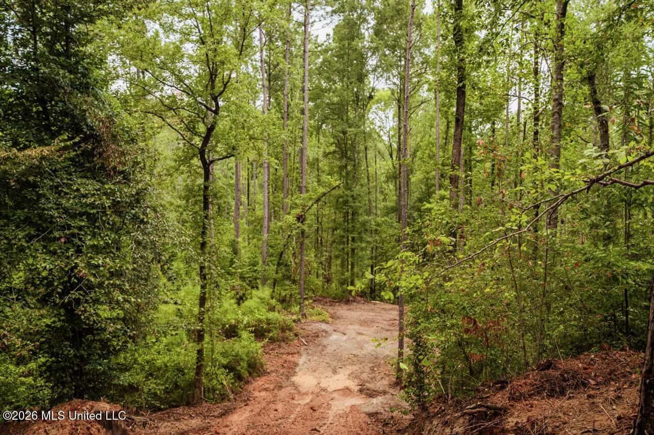 13± Acres by Homochitto National Forest Near Meadville, MS