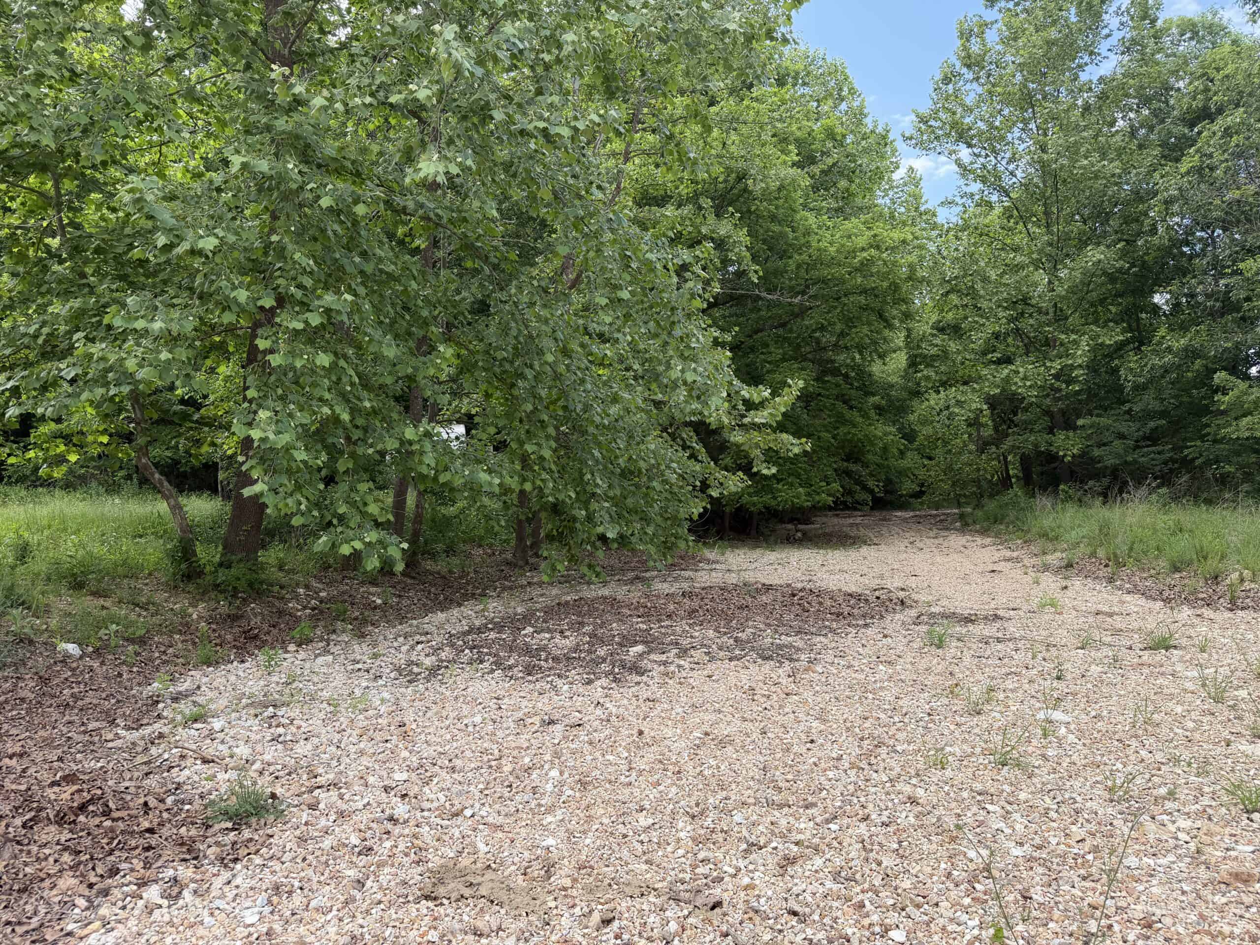 473 ± Acre Ozark Farm for Sale Near Salem, Missouri