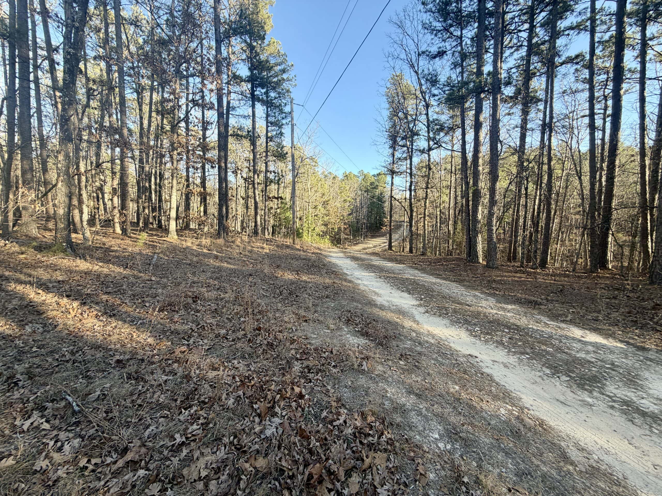 20 ± Acre Wooded Land for Sale in Salem, MO