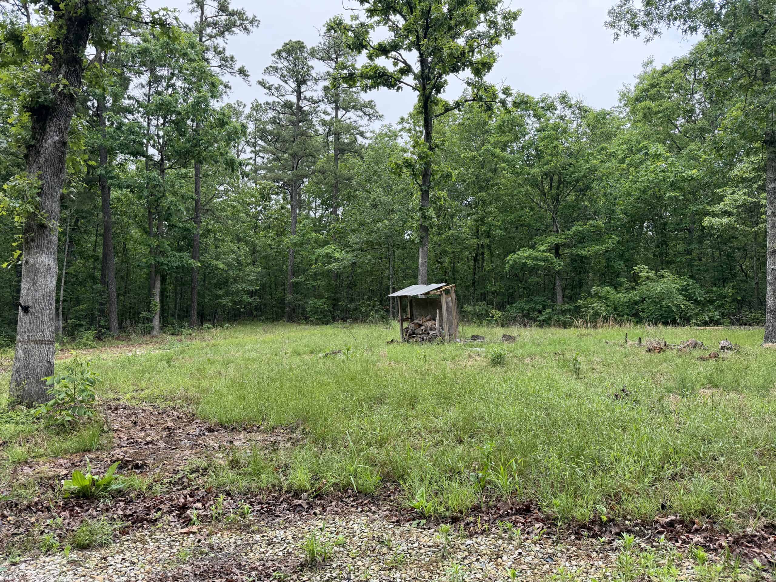 46.12 ± Acre Hunting Land for Sale in the Missouri Ozarks