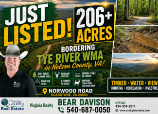 206+ Acres Bordering Tye River WMA – A Hunter’s Paradise