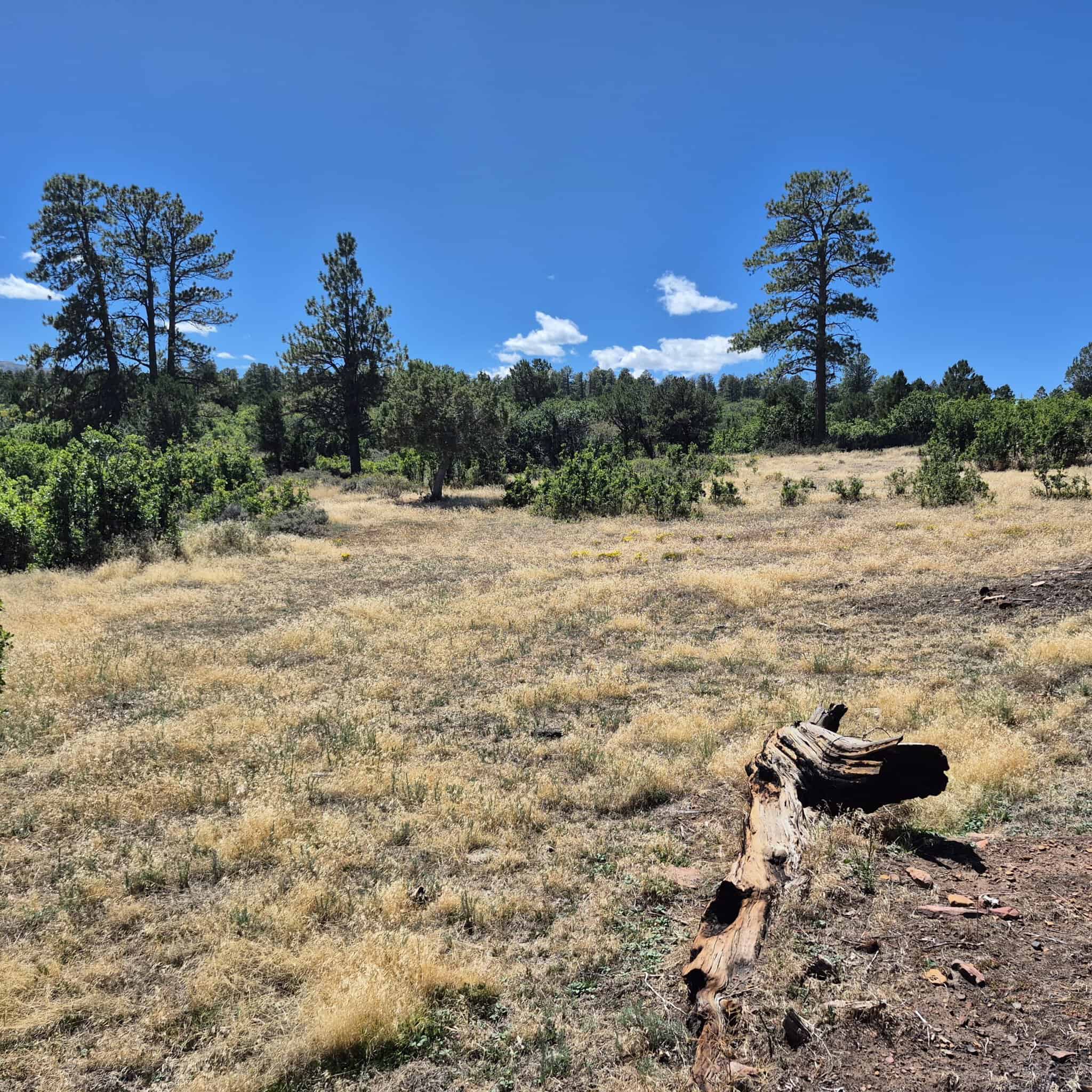 Colorado Hunting Land For Sale