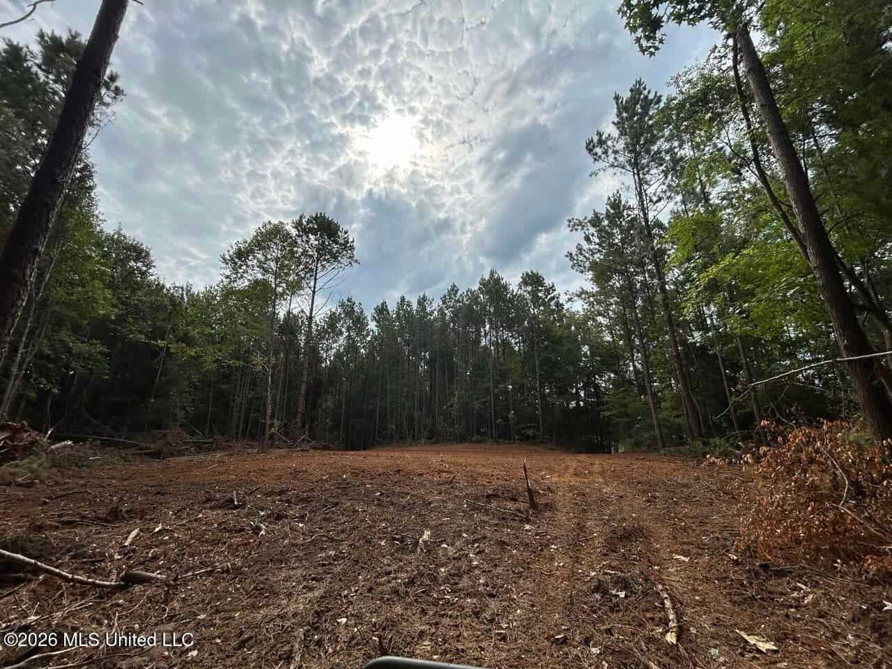 25± Acre Hunting & Homesite Tract in Centreville, MS
