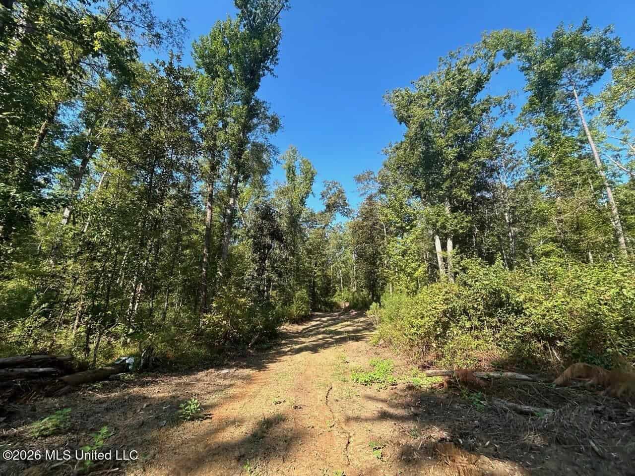 45± Acre Hunting Property in Franklin County, MS