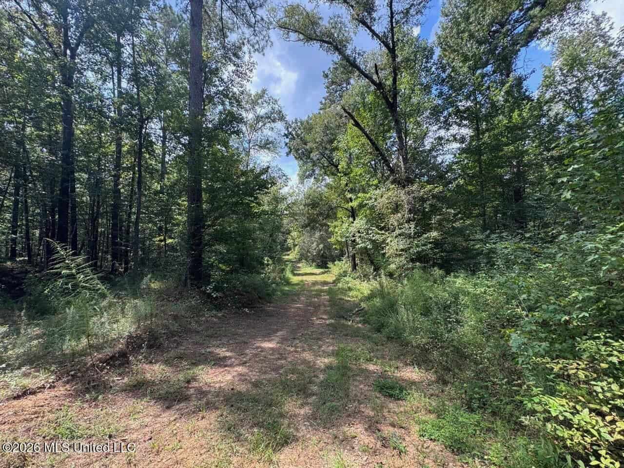 200± Acre Hunting Property in Jefferson County, MS