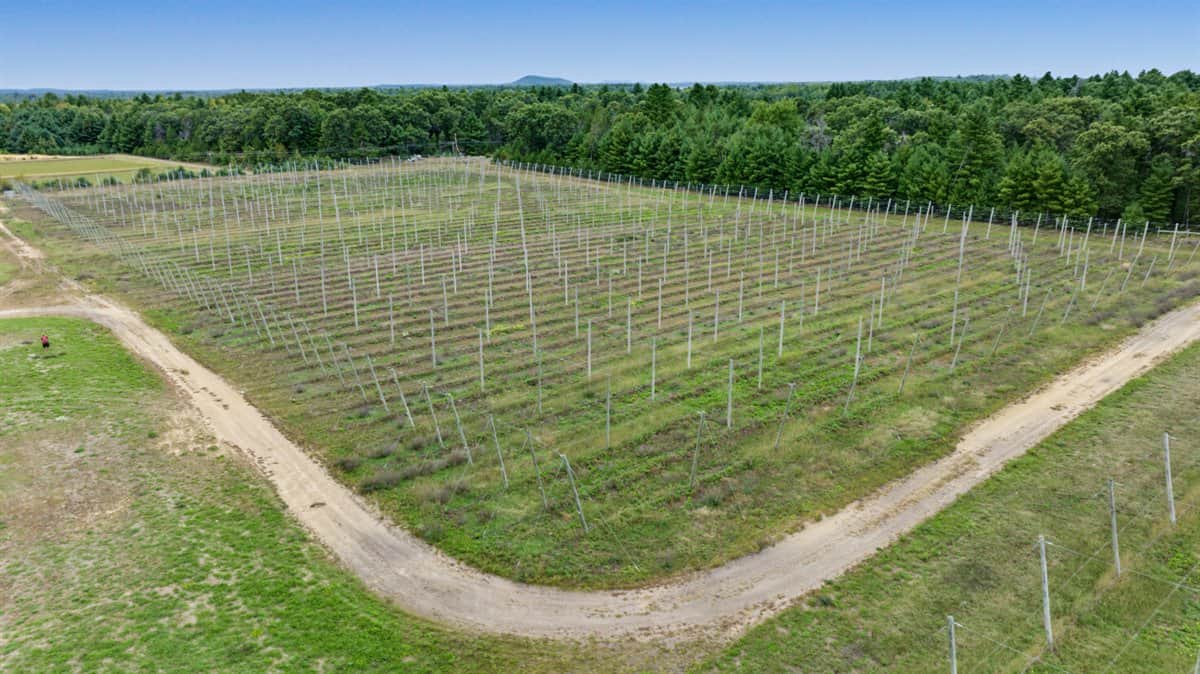 34.5± acre high-ground property in the Town of Bear Bluff