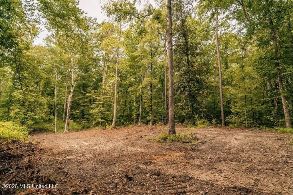 58± Acre Hunting Property in Franklin County, MS