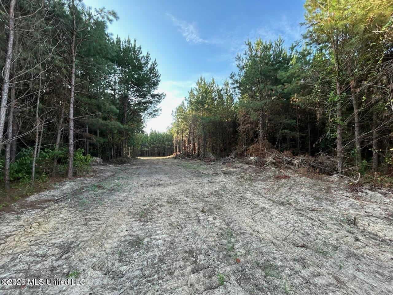 80± Acre Riverfront Hunting Land Near Meadville, MS