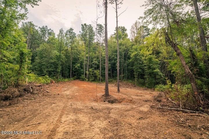 36± Acre Hunting Property Near Bude, MS