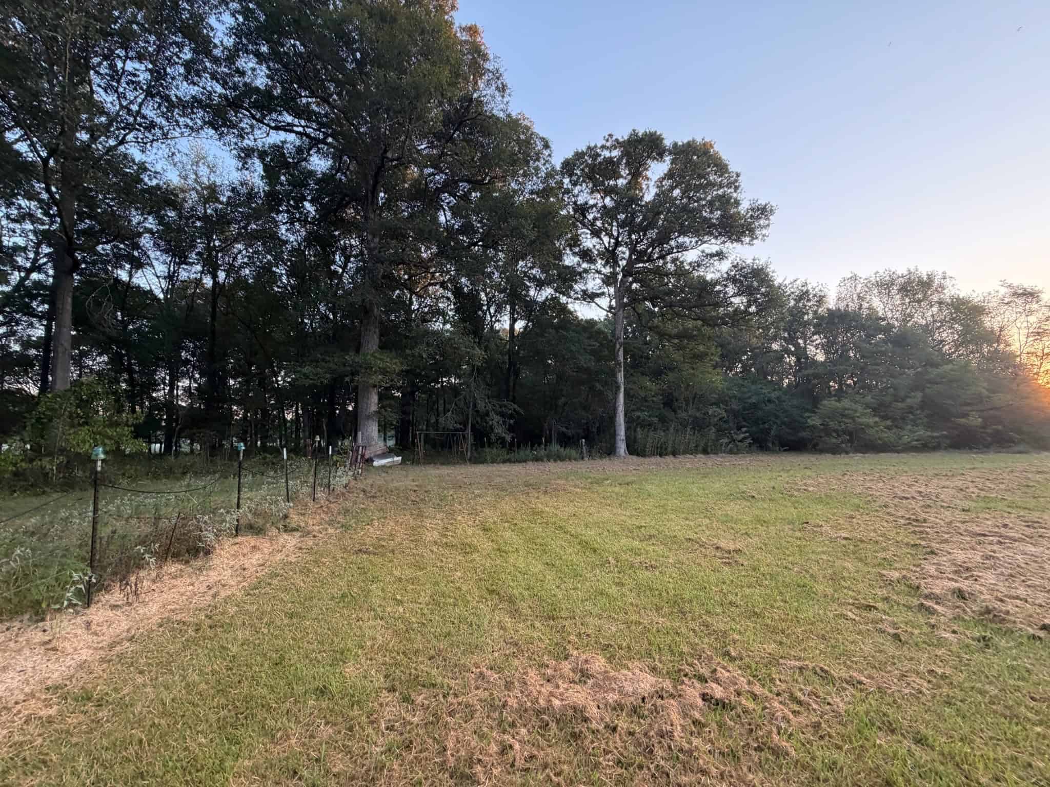 80 Ac Home, Hunting & Cattle Land in Franklin Parish LA