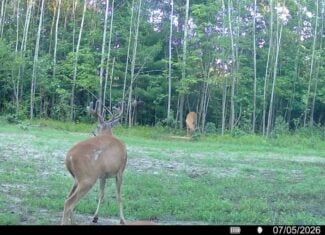 117± Acres of Irrigated Farmland and Trophy Whitetail Habitat — Adams County, Wisconsin