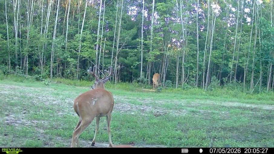 117± Acres of Irrigated Farmland and Trophy Whitetail Habitat — Adams County, Wisconsin