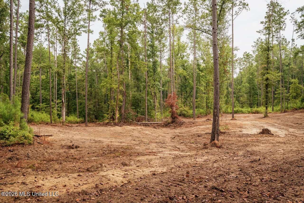 13± Acres by Homochitto National Forest Near Meadville, MS