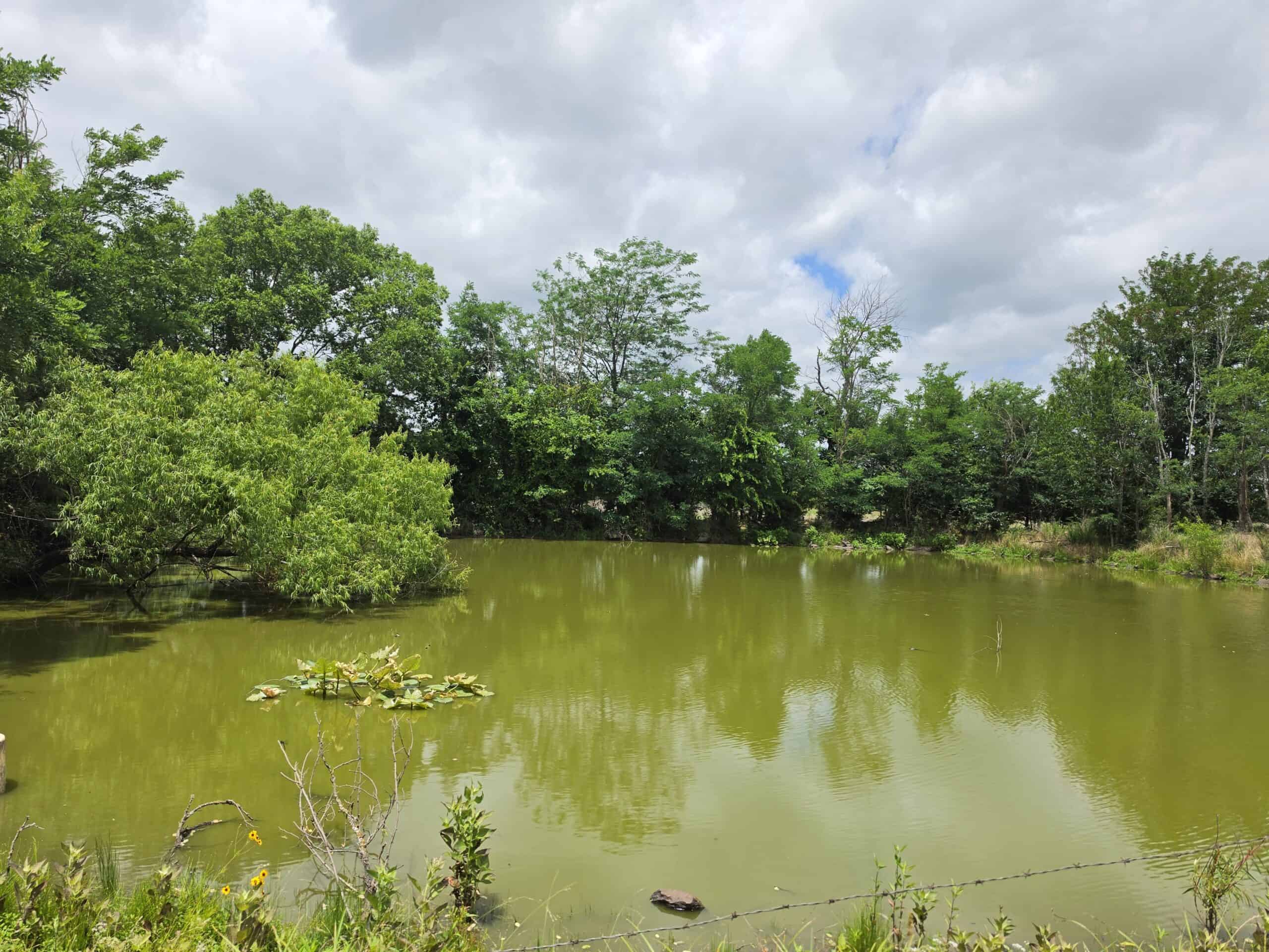 104± Acres of Whitetail Hunting, Hardwood Timber & Fishing Ponds in SE Oklahoma