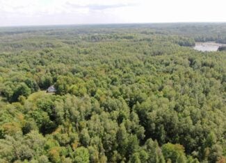 37.5± Acres with Off-Grid Cabin – Taylor County, Wisconsin