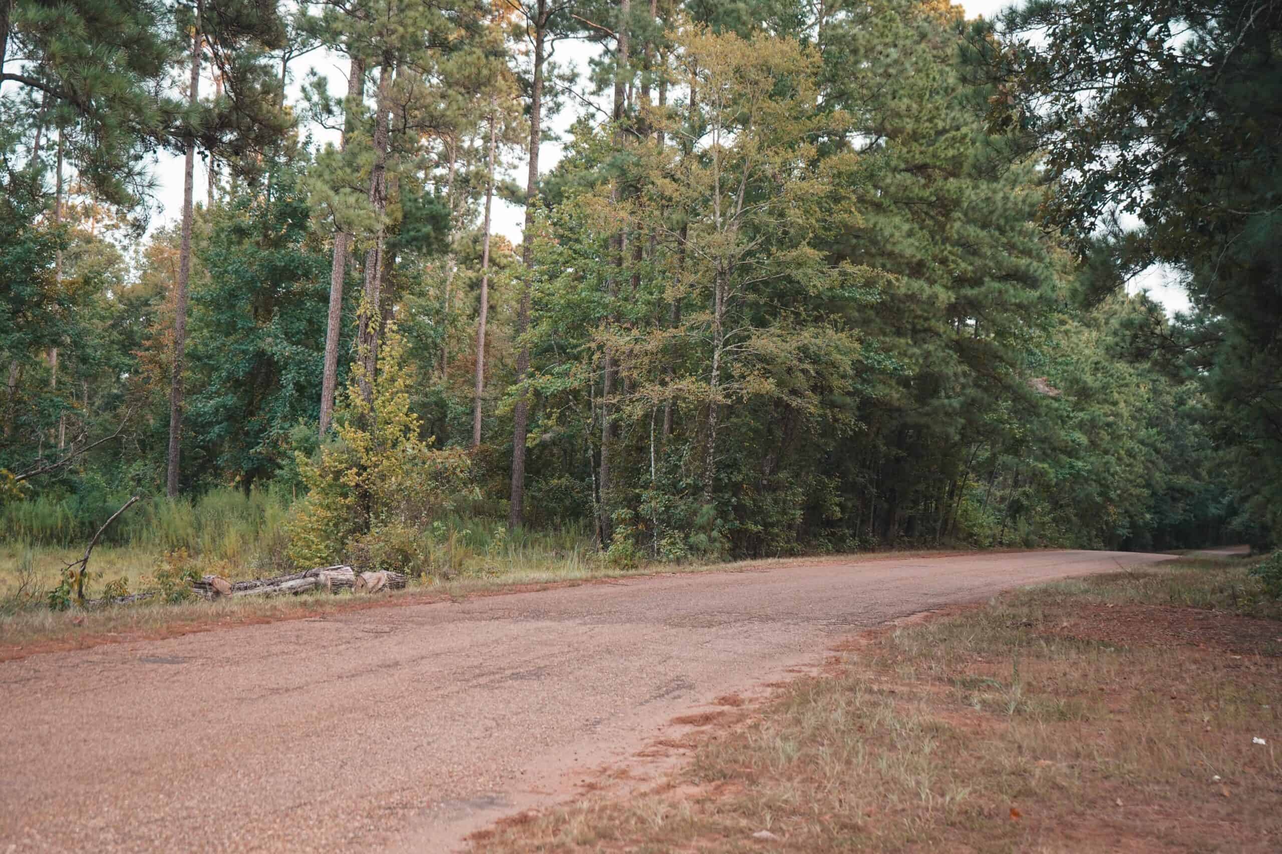 Lake D’Arbonne Land for Sale