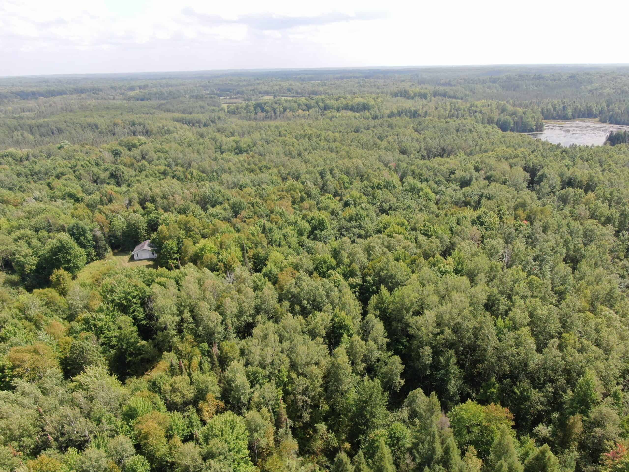 37.5± Acres with Off-Grid Cabin – Taylor County, Wisconsin