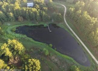 210+/- Acres and Cabin in Franklin County, MS