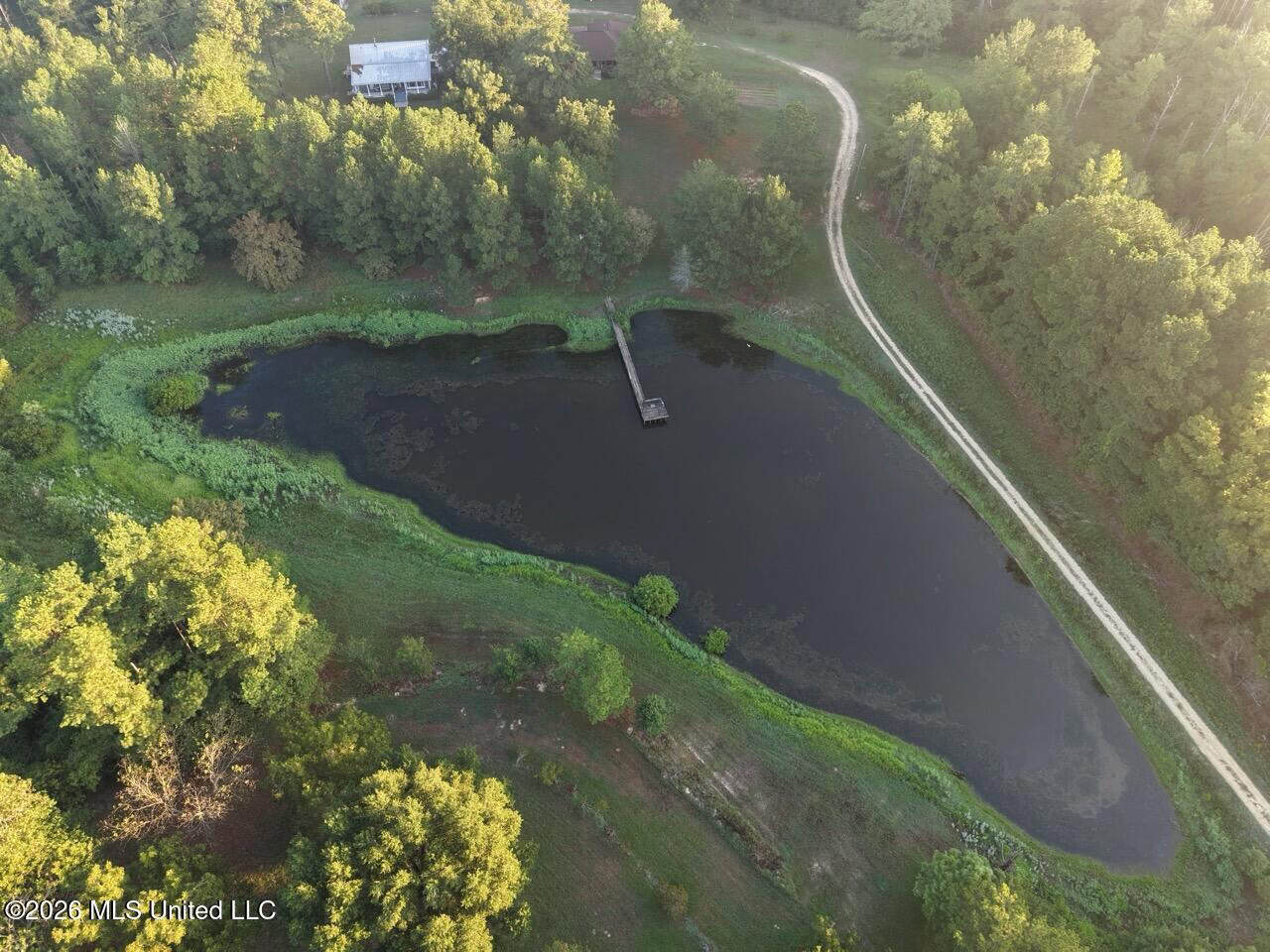 210+/- Acres and Cabin in Franklin County, MS