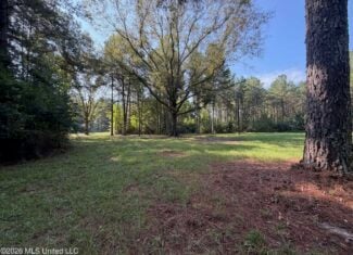 76 Acres of Hunting Land in Raleigh, MS, Smith County