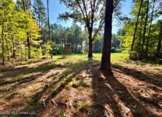 52 Acres Hunting & Timberland in Raleigh, MS