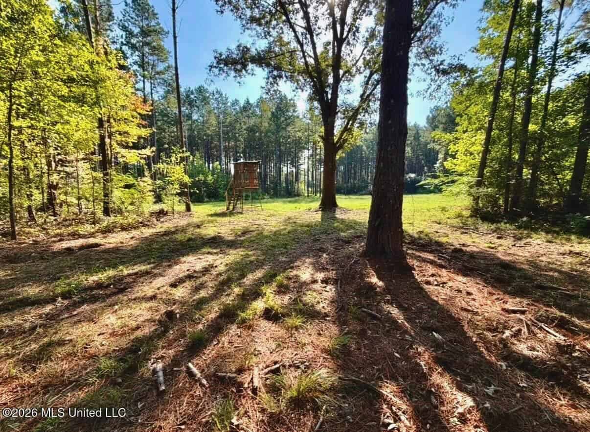 52 Acres Hunting & Timberland in Raleigh, MS