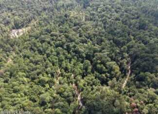45± Acre Hunting Property in Franklin County, MS