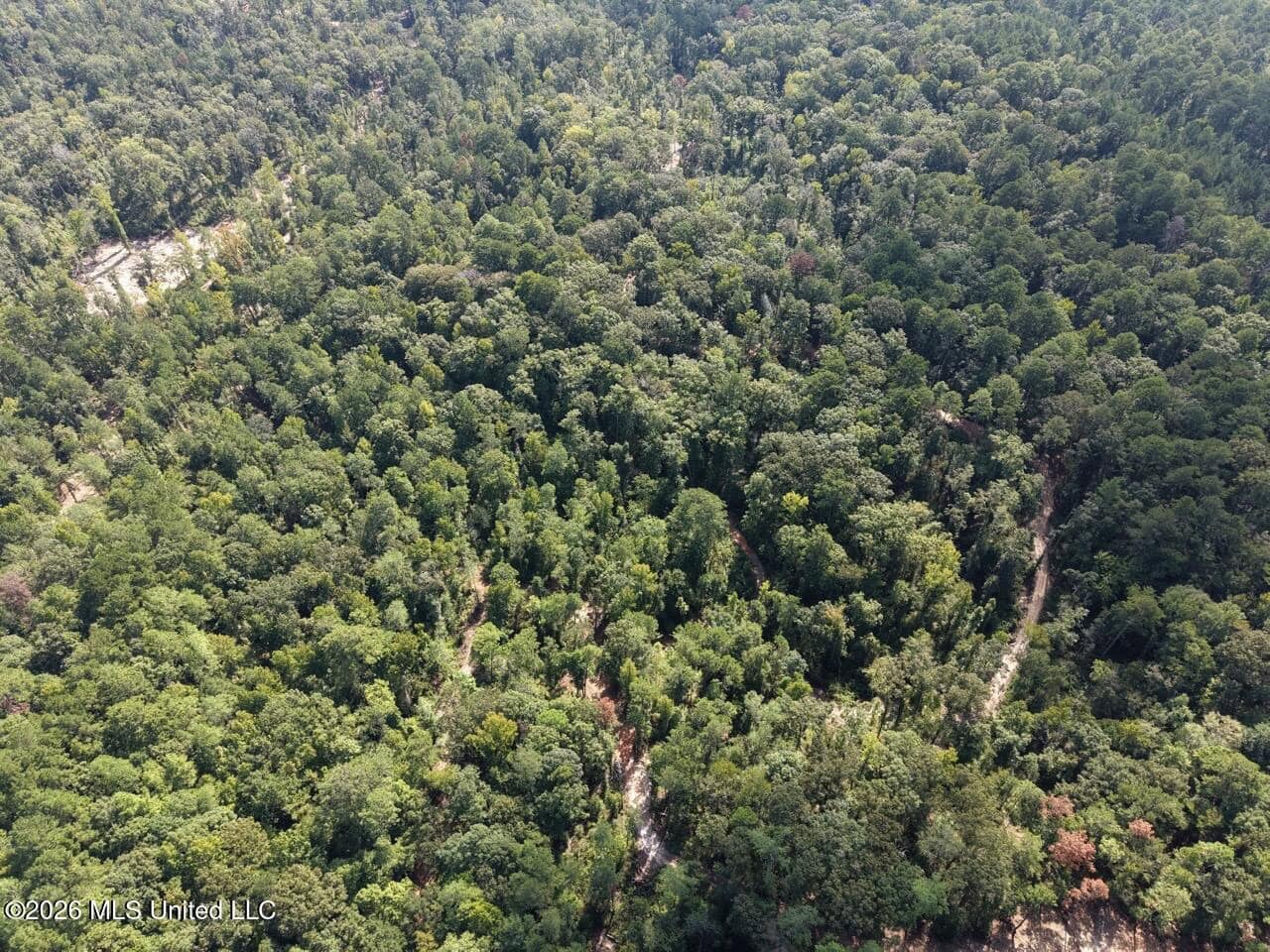 45± Acre Hunting Property in Franklin County, MS