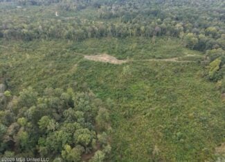 200± Acre Hunting Property in Jefferson County, MS