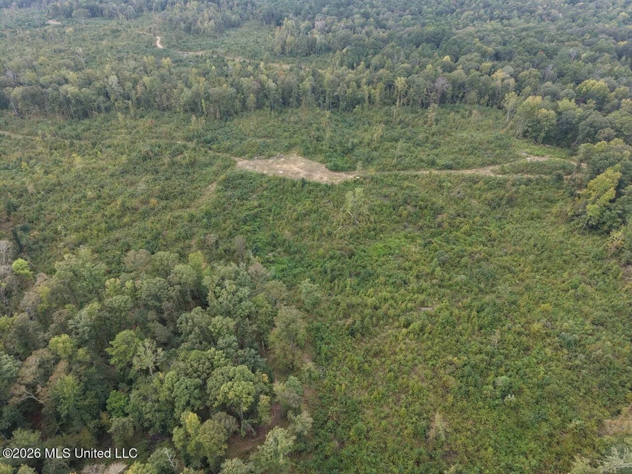 200± Acre Hunting Property in Jefferson County, MS