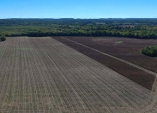 Farmland with great Deer and Turkey Hunting in Tennessee