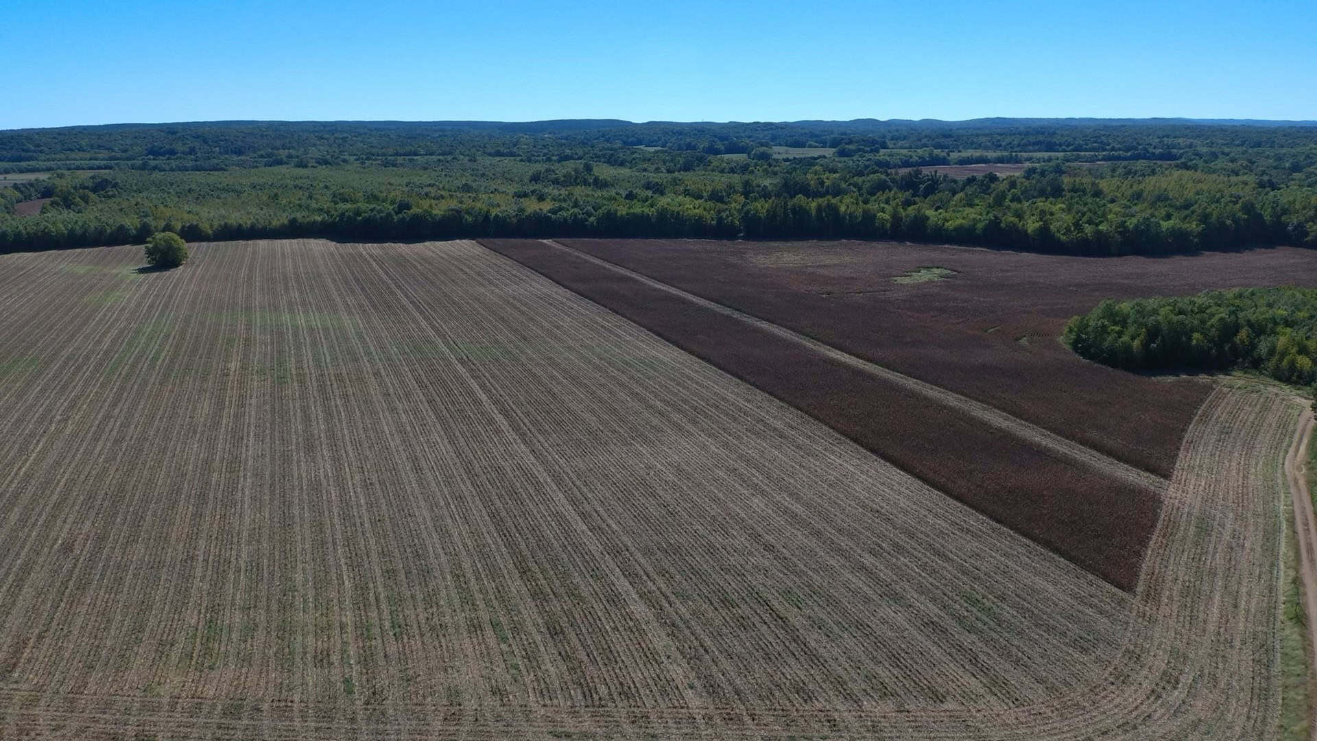 Farmland with great Deer and Turkey Hunting in Tennessee