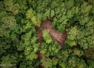 13± Acres by Homochitto National Forest Near Meadville, MS