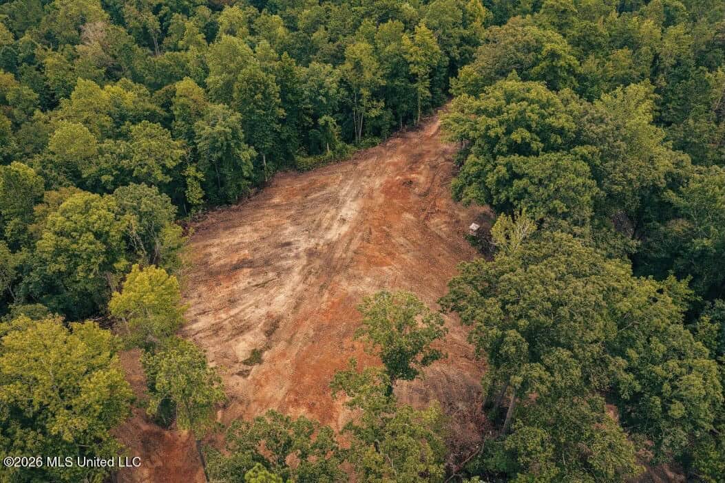 58± Acre Hunting Property in Franklin County, MS
