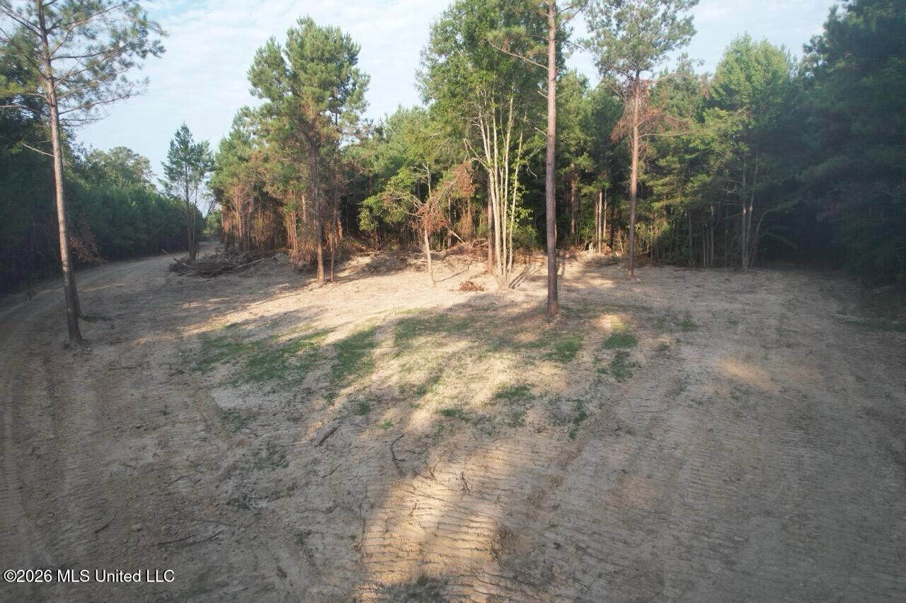 80± Acre Riverfront Hunting Land Near Meadville, MS