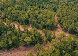36± Acre Hunting Property Near Bude, MS