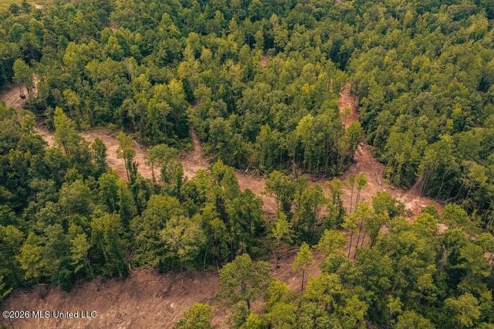 36± Acre Hunting Property Near Bude, MS