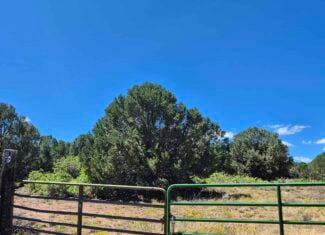 Colorado Hunting Land For Sale