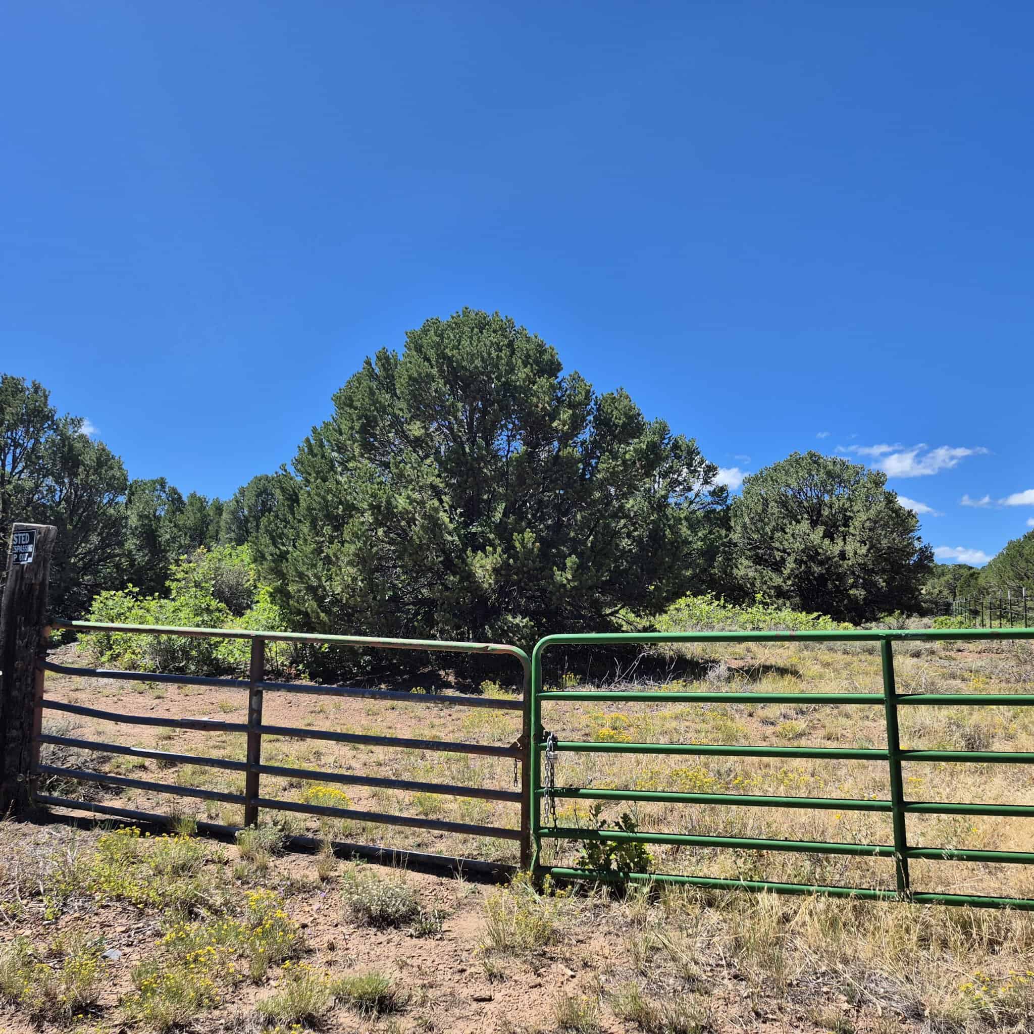 Colorado Hunting Land For Sale