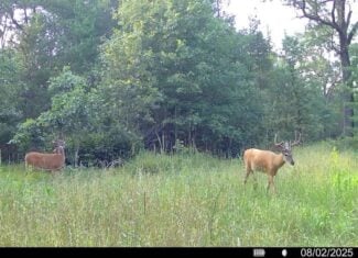 117± Acres of Irrigated Farmland and Trophy Whitetail Habitat — Adams County, Wisconsin