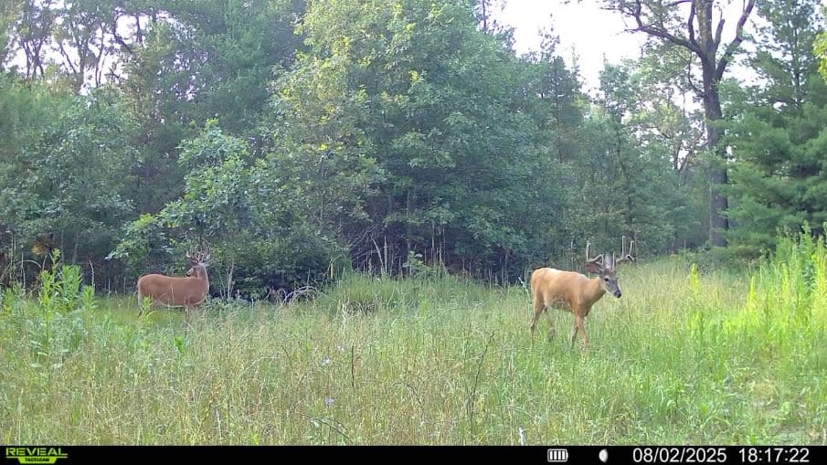 117± Acres of Irrigated Farmland and Trophy Whitetail Habitat — Adams County, Wisconsin
