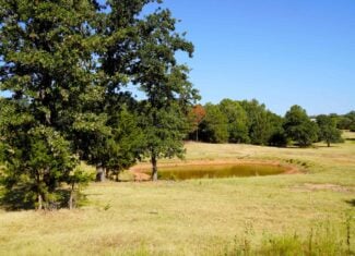 80 Ac Central Ok Pasture Ranch Land For Sale