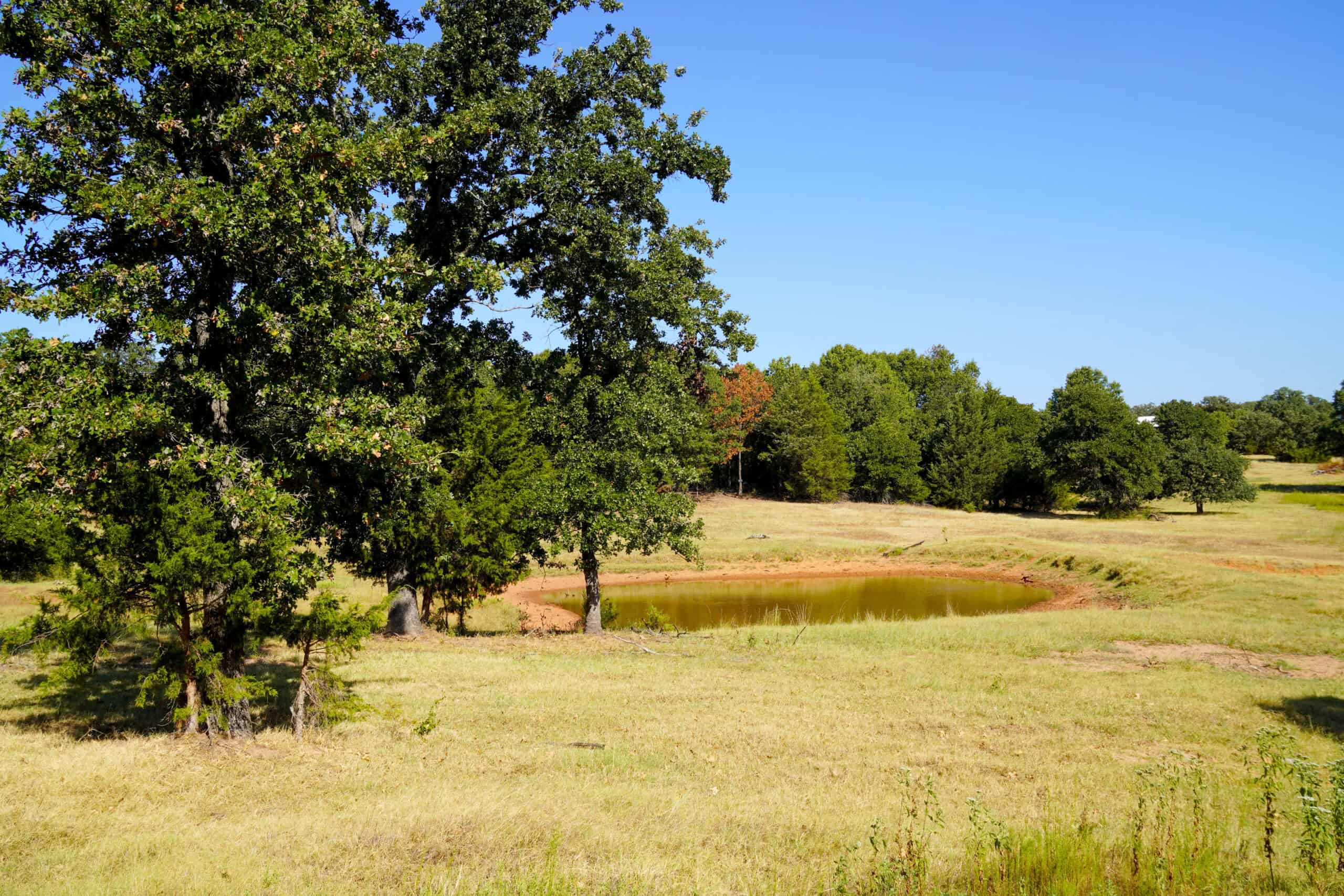 80 Ac Central Ok Pasture Ranch Land For Sale