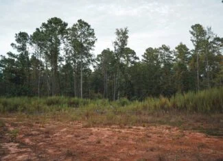 Affordable Union Parish Land for Sale