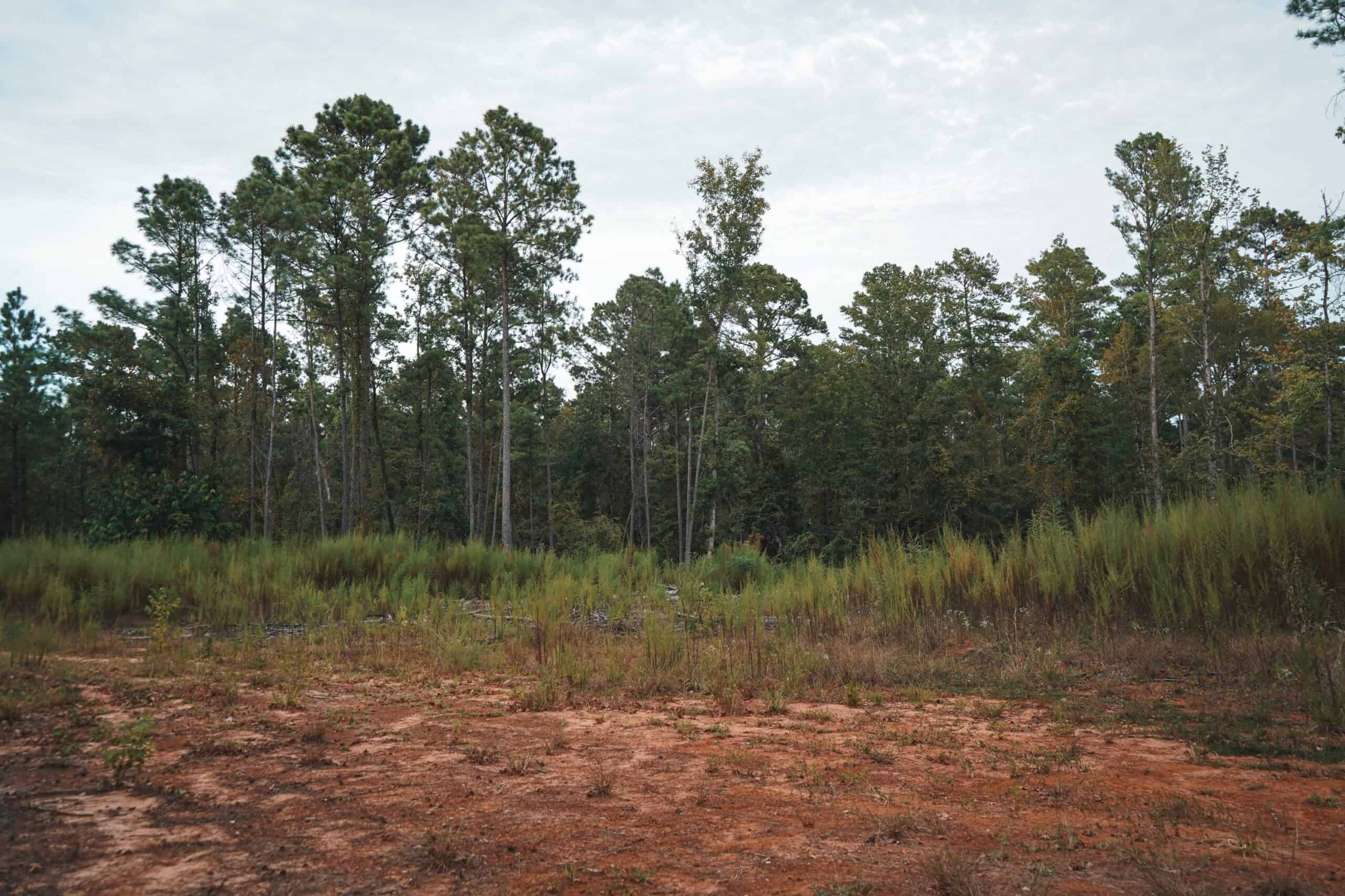 Affordable Union Parish Land for Sale