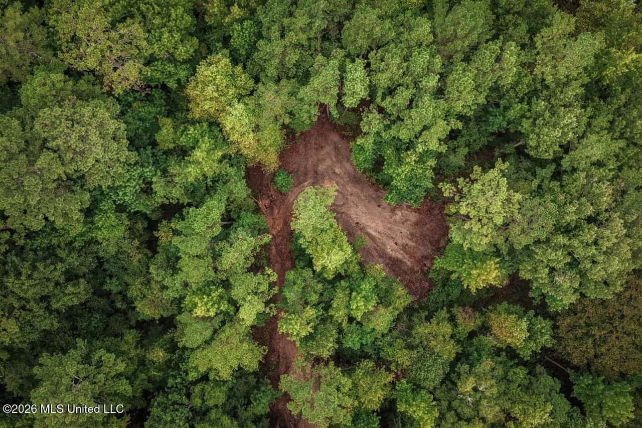 13± Acres by Homochitto National Forest Near Meadville, MS
