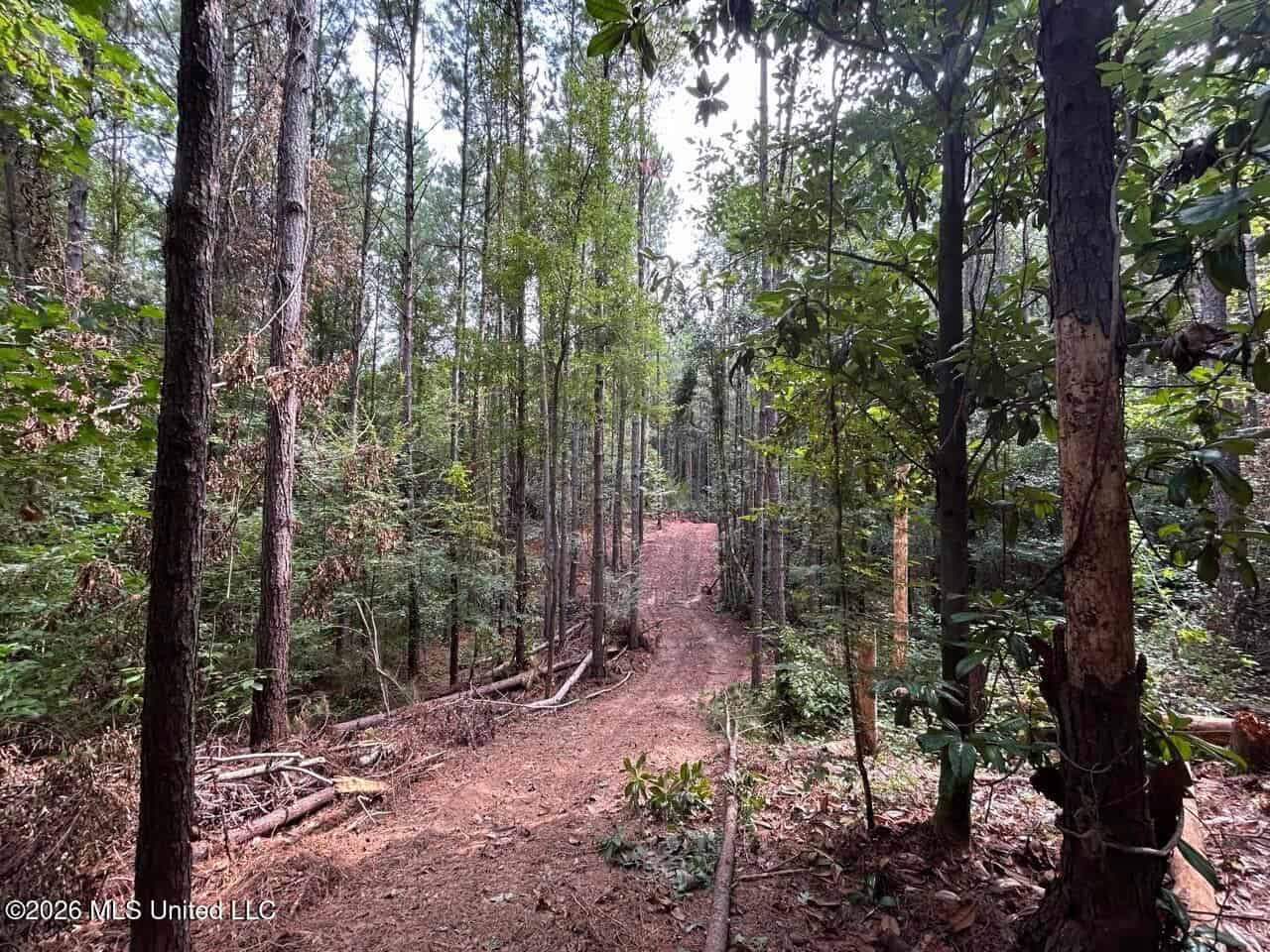 25± Acre Hunting & Homesite Tract in Centreville, MS
