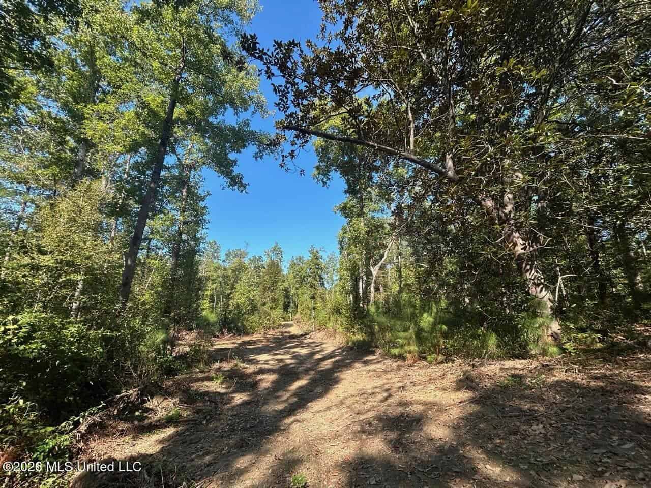 45± Acre Hunting Property in Franklin County, MS
