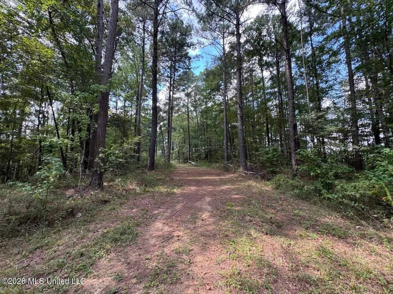 200± Acre Hunting Property in Jefferson County, MS